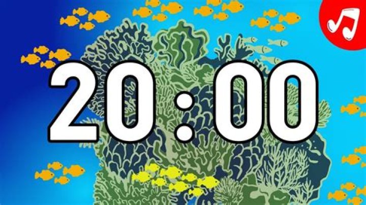 Enhancing Focus and Calm: 20 Minute Timer with Relaxing Music for Classroom