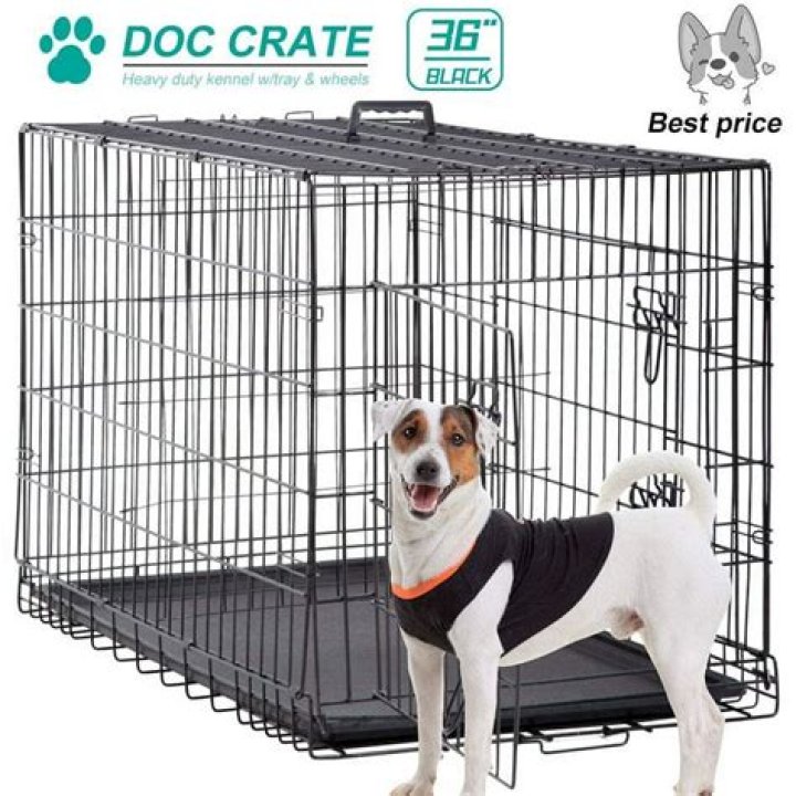 Everything You Need to Know About 36 Inch Dog Crates