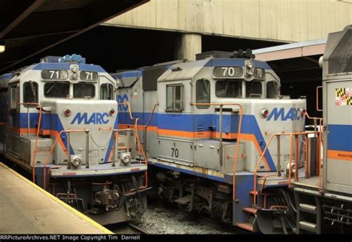 Perfect Match: Explore the Allure of 7170