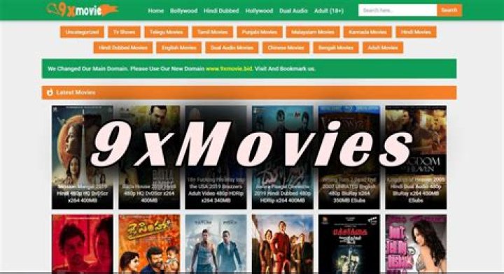 9x Movies Baby: A Comprehensive Guide to the Best Baby Movies