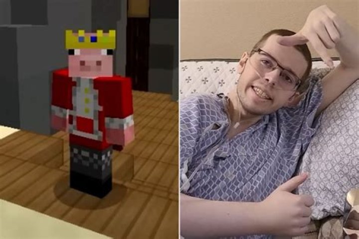 A Picture of Technoblade: Exploring the Legacy of a Minecraft Legend