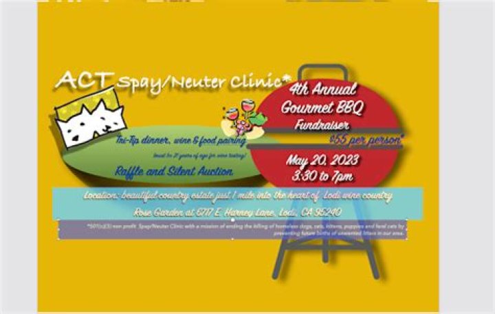 Understanding the Importance of Act Spay in Animal Welfare