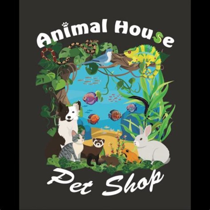 Discover the Joys of Animal House Pet Shop: Your One-Stop Destination for Pet Lovers