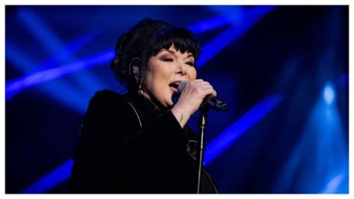 Ann Wilson Net Worth 2024: A Deep Dive into the Rock Legend's Fortune