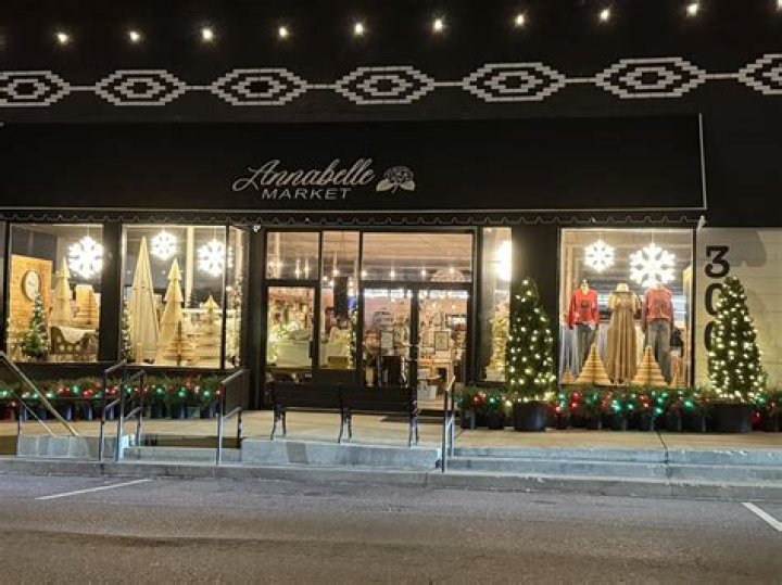 Unveiling the Enigma of Anna IL: A Journey Through Her Life and Legacy