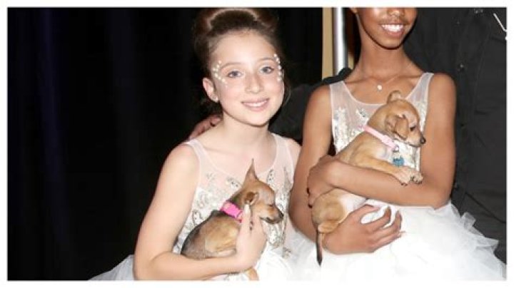 A Comprehensive Guide to Ava Combs: Biography, Career, and Influence