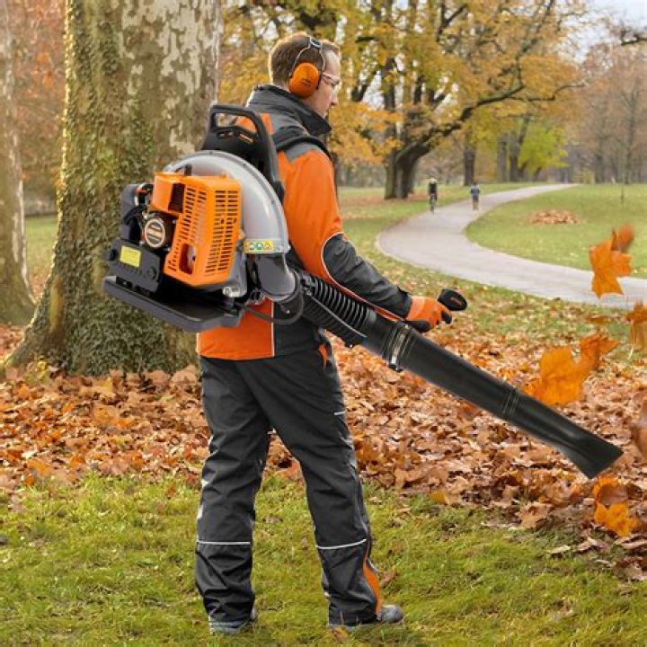 Ultimate Guide to Backpack Gas Leaf Blowers: Efficiency, Power, and Performance