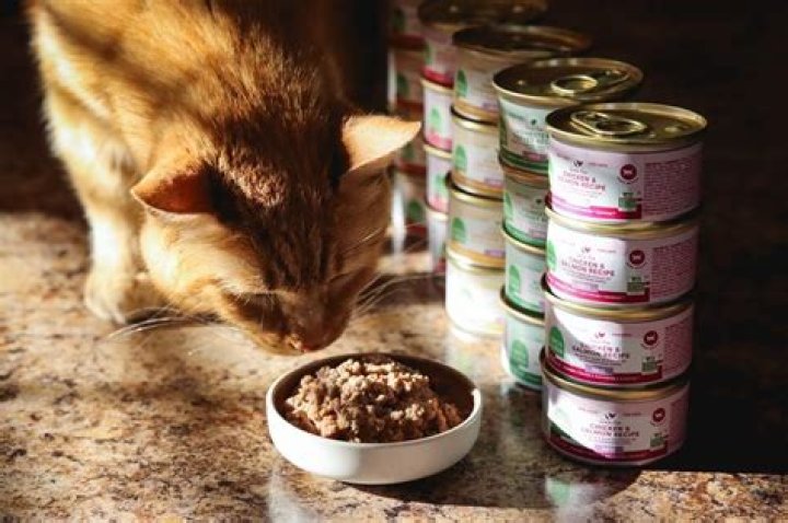 The Ultimate Guide to the Best Canned Cat Food for Cats