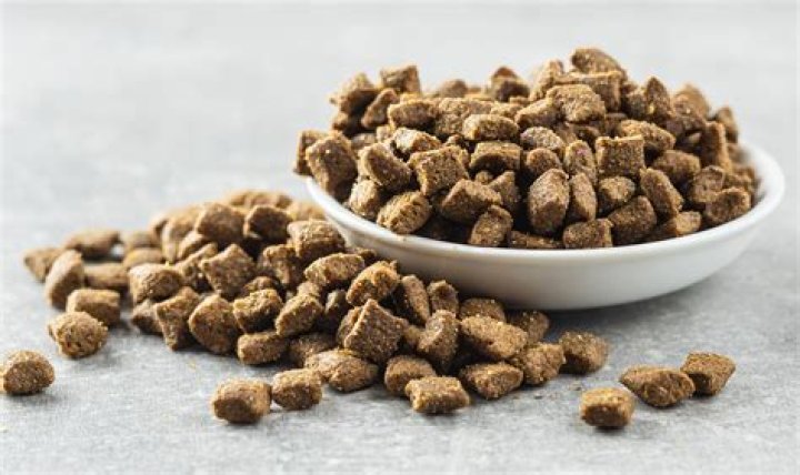 Best Dry Cat Foods: A Comprehensive Guide for Pet Owners