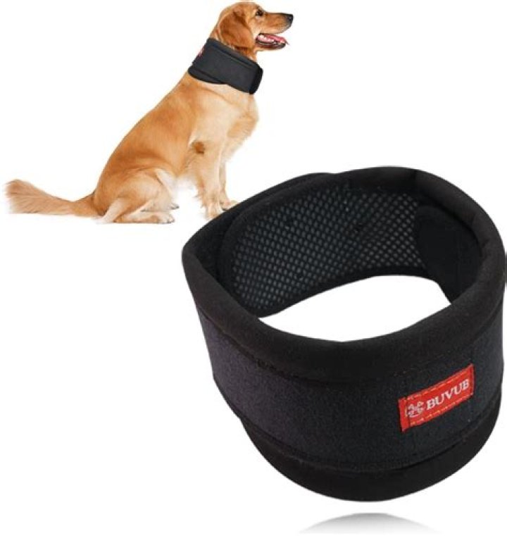 Discovering the Best E Collar for Dogs: A Comprehensive Guide
