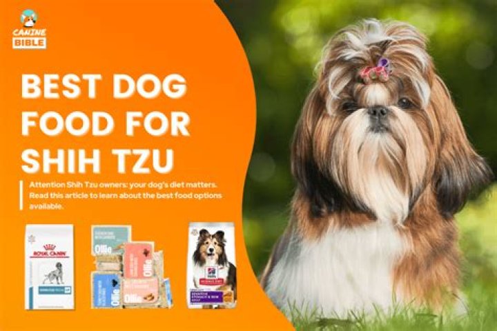 Ultimate Guide to the Best Food for Shih Tzu: Nourishing Your Furry Companion
