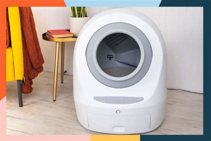 Best Kitty Litter Box: A Comprehensive Guide for Cat Owners