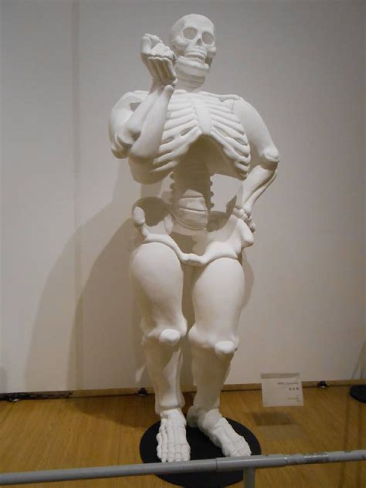 Unveiling the Mysteries of the Big Boned Skeleton