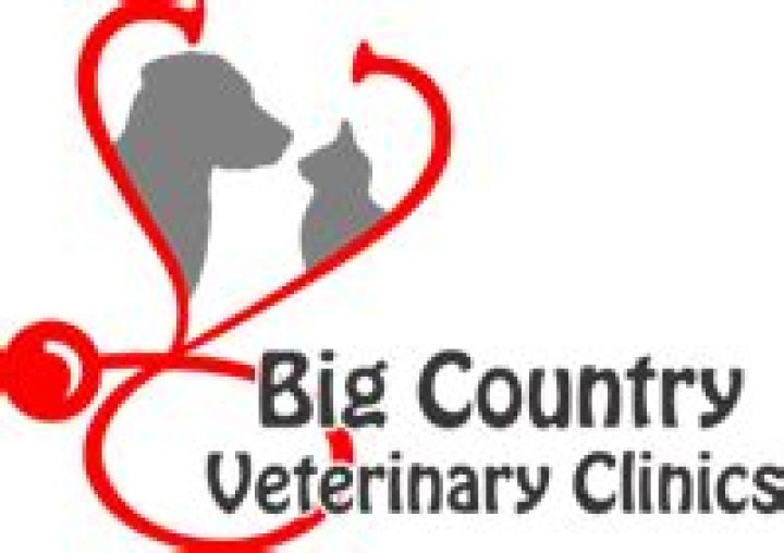 Discovering the Heart of Animal Care: Big Country Vet Clinic