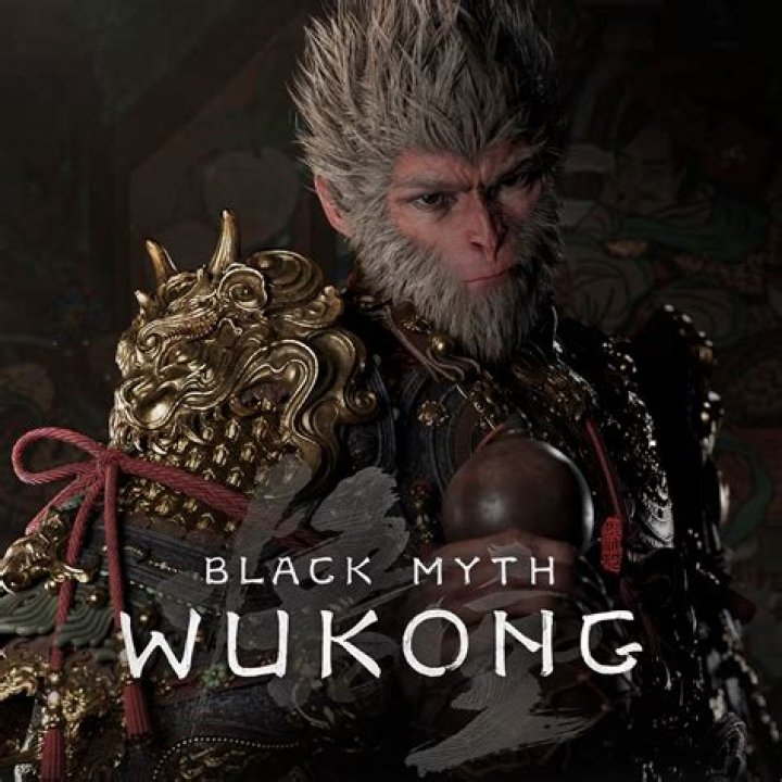 Unraveling the Controversies of the Black Wukong Game
