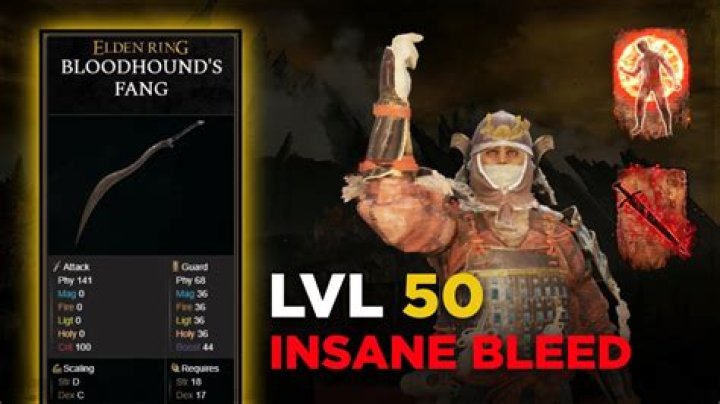 Bloodhound's Fang vs Mirai's Executioner Sword: The Ultimate Showdown