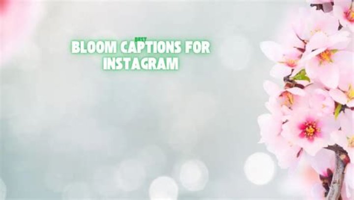 Bloom Captions for Instagram: Enhance Your Floral Posts