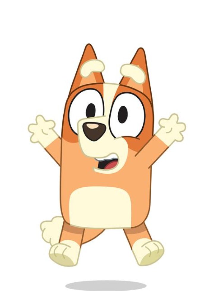 Bluey and Bingo Characters: An In-Depth Exploration