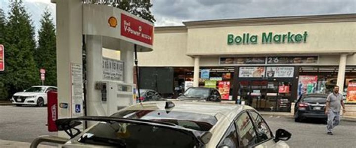 Uncovering the Lucrative Empire: Bolla Oil Corp's Net Worth Unveiled