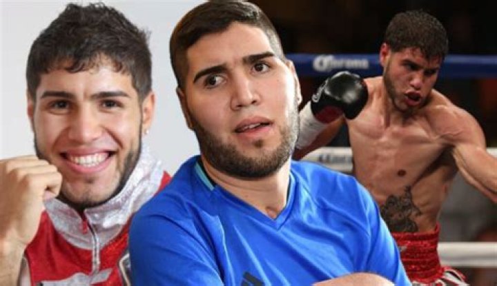 Everything You Need to Know About Boxeador Colon: A Comprehensive Guide