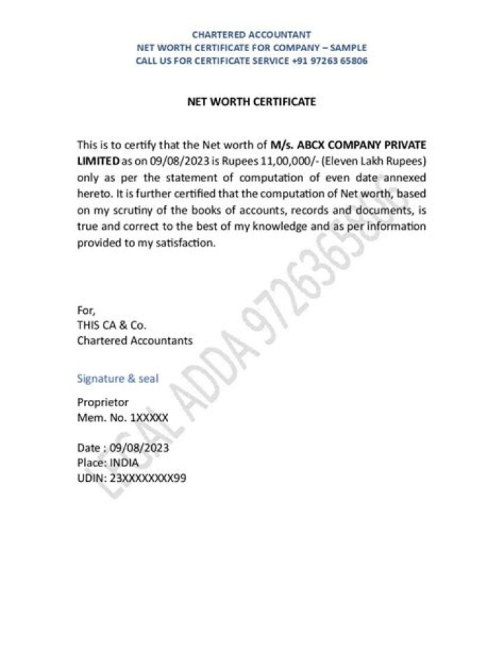 Unveiling the Growth and Success of BrandYourself: Company Net Worth and Insights