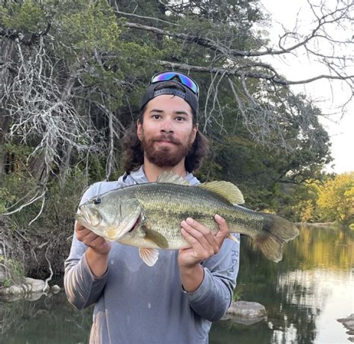 Branden Davis: The Definitive Guide to His Life and Legacy