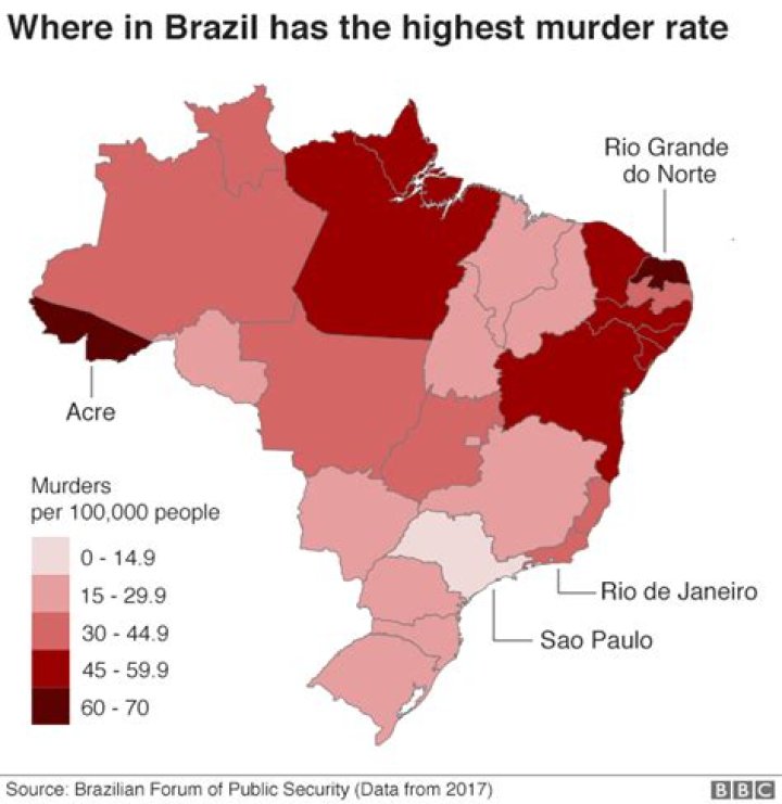 Insights into Brazil's Murder Phenomenon: Causes, Effects, and Solutions