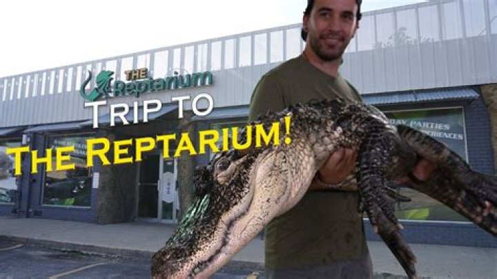 Brian Barczyk and the Reptarium: A Journey into the World of Reptiles