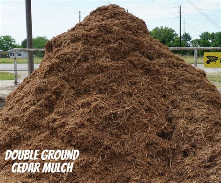 Unbeatable Savings on Bulk Mulch in San Antonio!