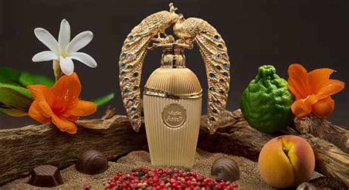 Exploring the Life of ç­‹ãƒˆãƒ¬ã—ã¦ã„ã‚‹ ã‚¢ãƒ¡ãƒªã‚«äºº