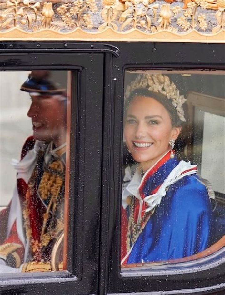 Insights into the Phenomenon of Canellecitadelle Twitter: An In-Depth Analysis