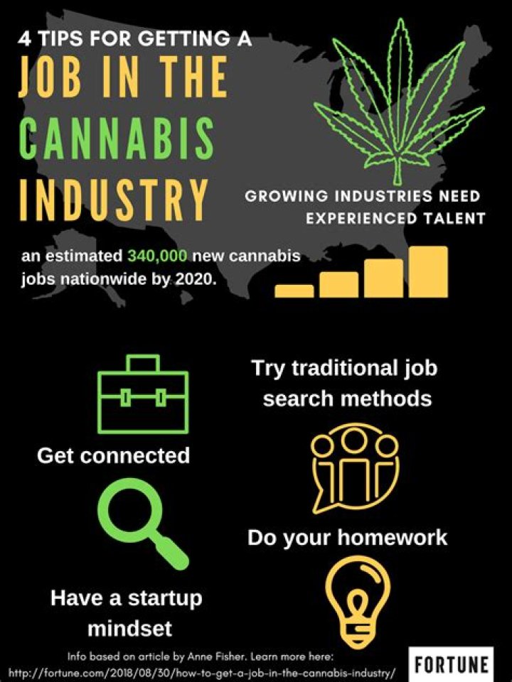 Discover Your Dream Cannabis Career in Rochester, NY