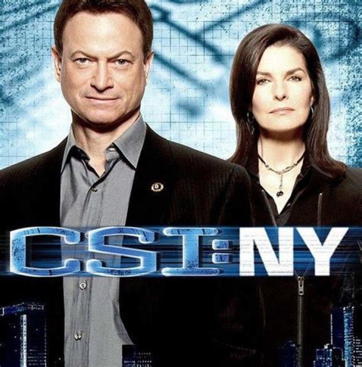Unveiling the Cast of CSI: NY – A Deep Dive into the Iconic Characters
