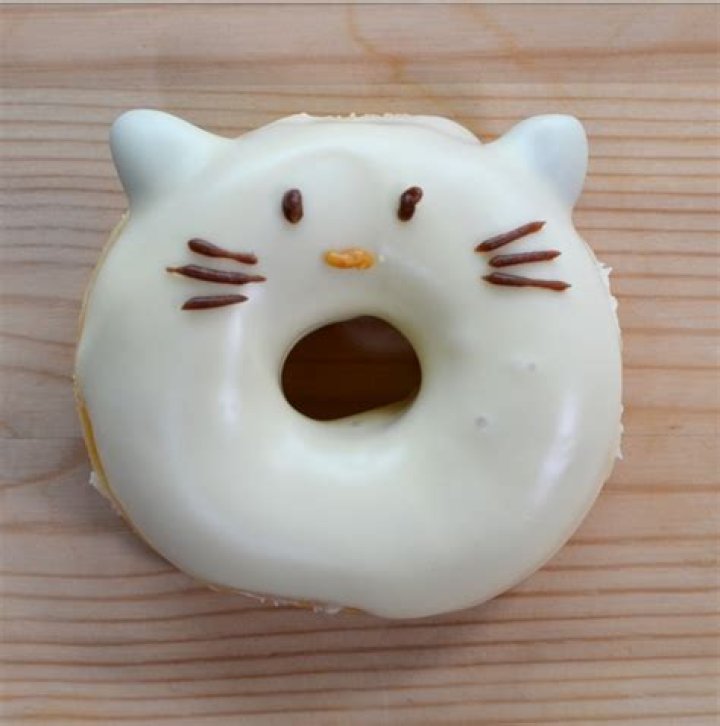 Cat Donuts: The Purr-fect Treat for Your Feline Friends