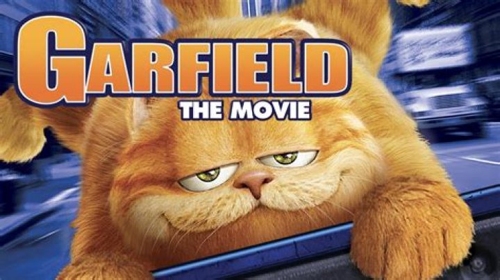 Discover the Magic of Cat Movies in HD
