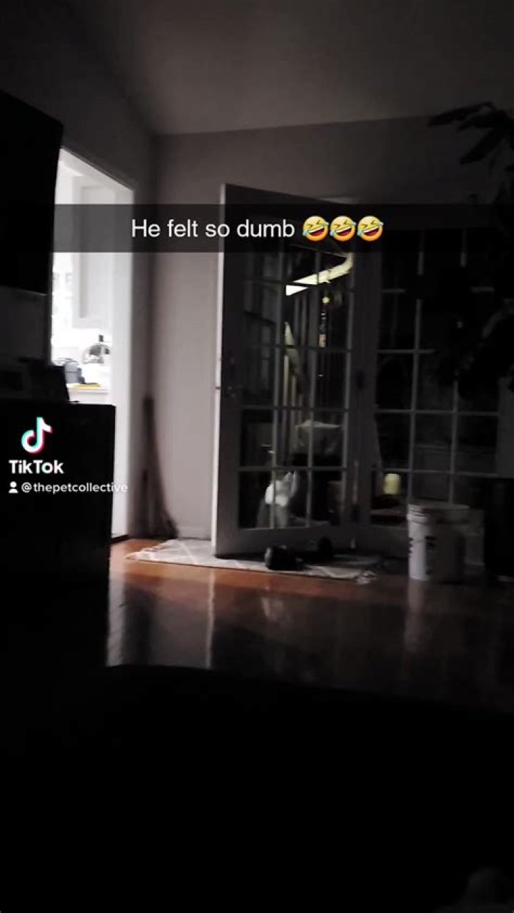 CCTV Idiots Twitter: A Deep Dive into Viral Moments and Online Reactions