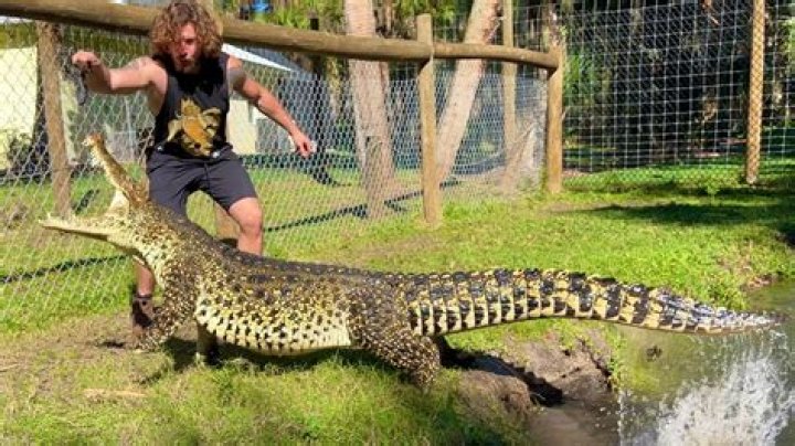 Exploring the Wonders of Chandlers Wildlife: A Journey into Nature's Embrace