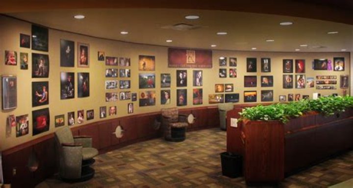 Discover Christina Schwarzenegger: A Trailblazer from Terminator to Environmental Activism