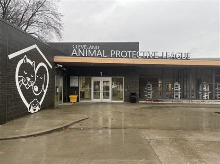 The Inspiring Mission of the Cleveland Animal Protective League: A Beacon of Hope for Animals