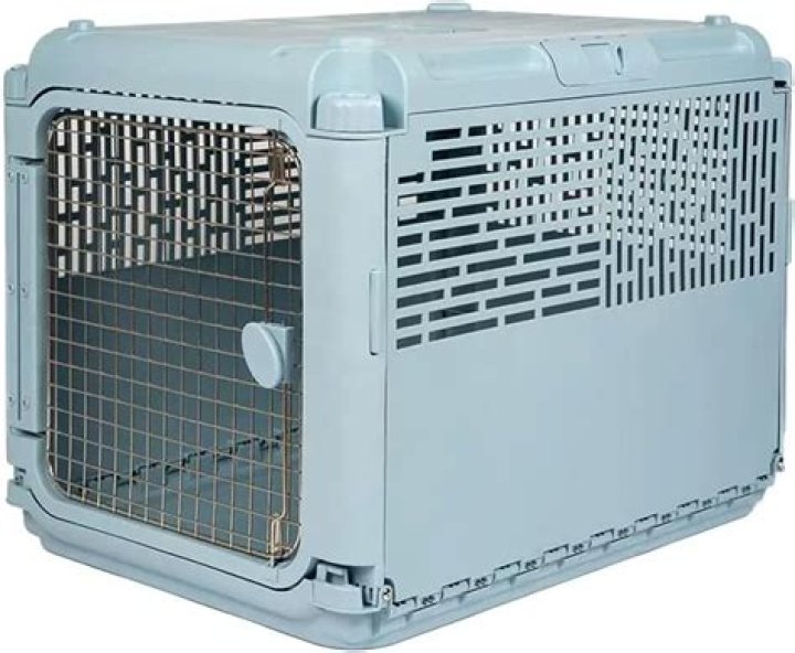 Choosing the Perfect Crate for Small Dogs: A Comprehensive Guide