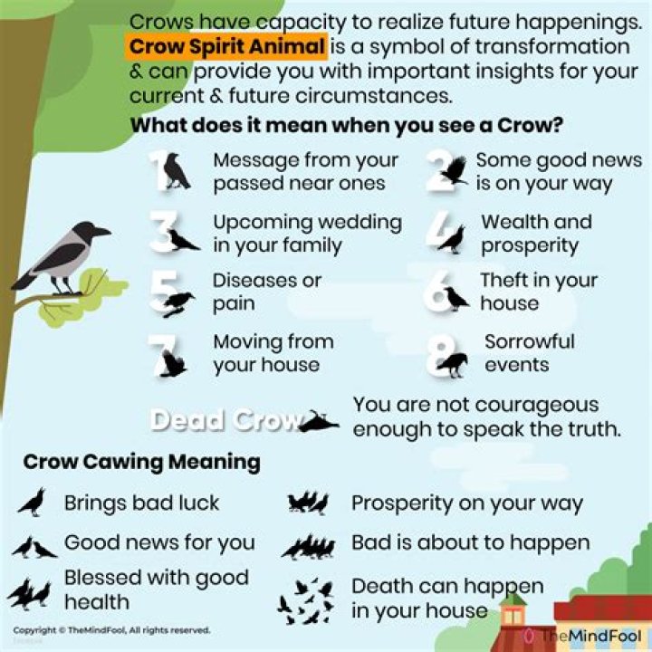 Crows: Guardians of Spiritual Wisdom