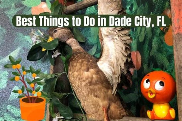 Discovering the Charm of Dade City, FL