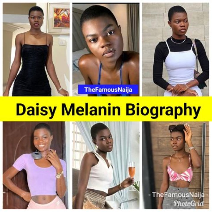 Unraveling the Origins of Daisy Melanin: A Comprehensive Guide