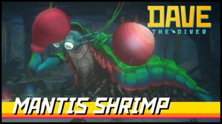 Unveiling the Underwater Wonders: Dave the Diver and the Mantis Shrimp