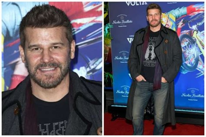 David Boreanaz Net Worth: A Comprehensive Analysis of His Success and Wealth