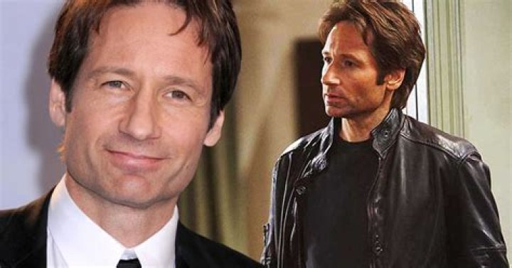 David Duchovny: The Man Behind Mulder and Hank