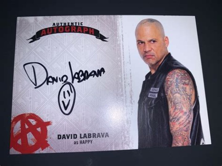 Uncover the Exciting World of David Labrava and His TV Dominance