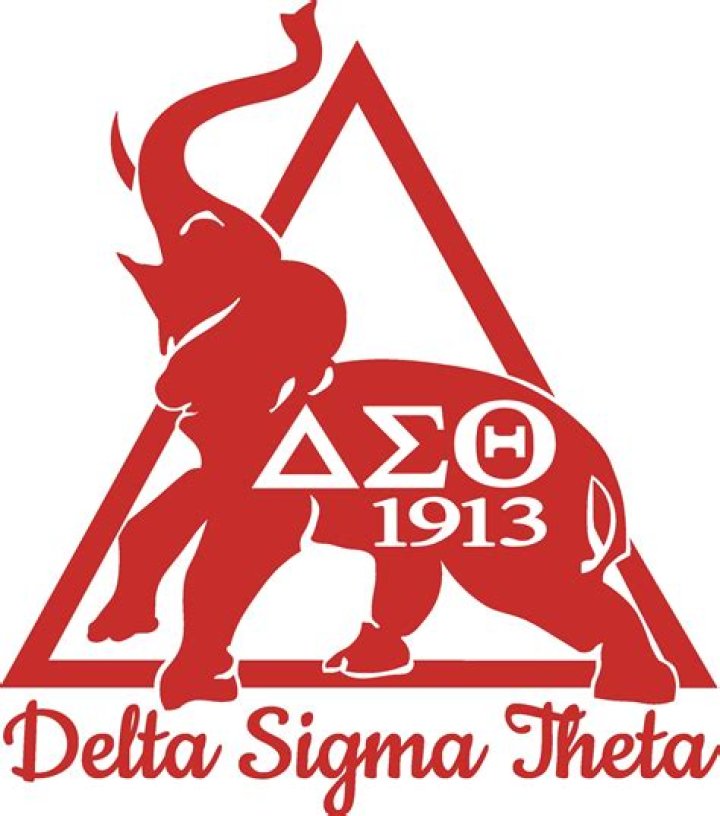 Celebrating Sisterhood with the Delta Sigma Theta Elephant Wreath