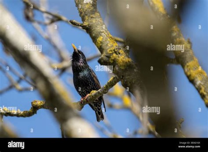 Discovering the Art of District Photo: Capturing Life Through the Lens