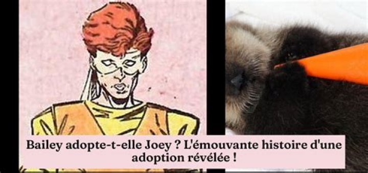 Does Bailey Adopt Joey? Exploring the Heartwarming Story